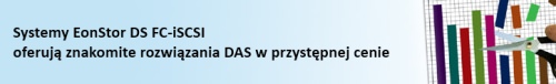 Infortrend SAS host